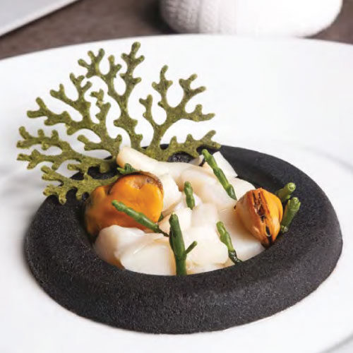 Silikonski-kalup-Gourmand-Koral