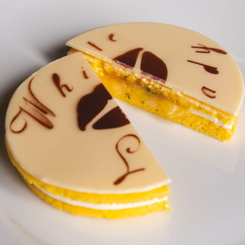SILIKONSKI KALUP GOURMAND DISK MALI